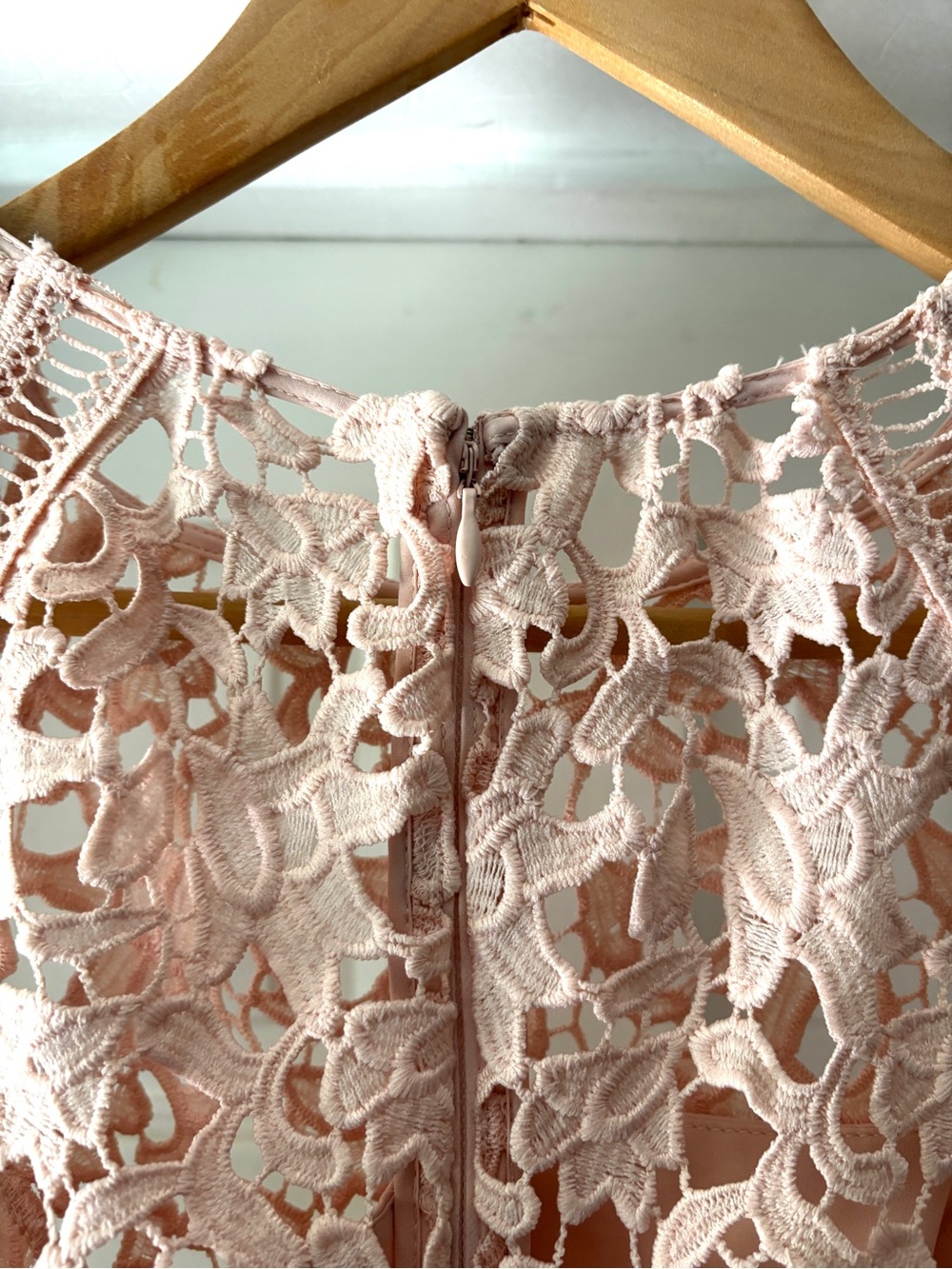 Eliza J Lace Sheath Mini Dress Crochet Lace Overlay Blush Pink Size 4P - Picture 10 of 13